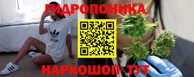 дживик Тара