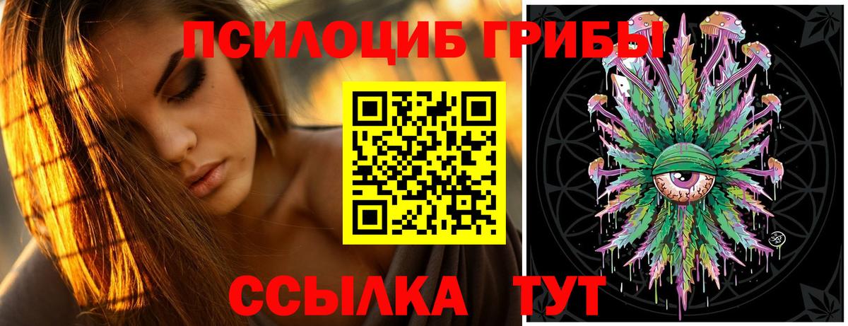 Нерюнгри  Псилоцибиновые грибы мицелий  купить   Вход с VPN 